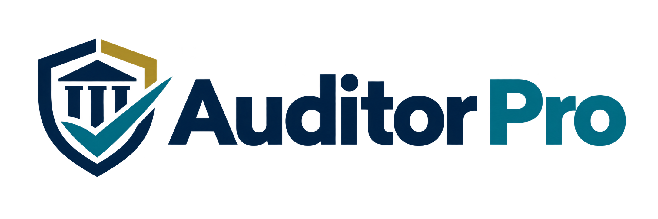 Auditor Pro